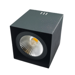 Surface mounted downlight-CASE-L1-AR111