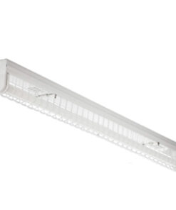 โคมหน้าตะแกรงลวด 1x36W (120cm.)
